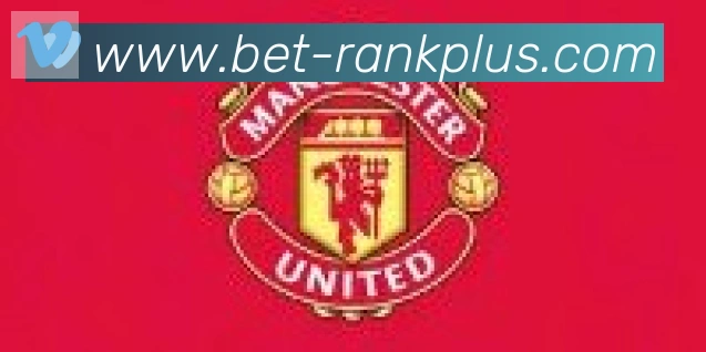 新葡京博彩官网合作伙伴